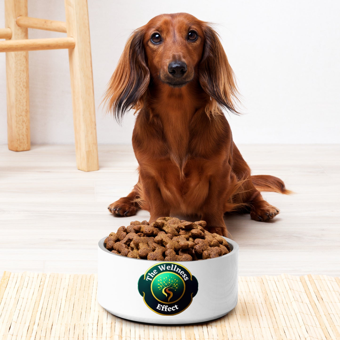 The Wellness Effect Pet bowl